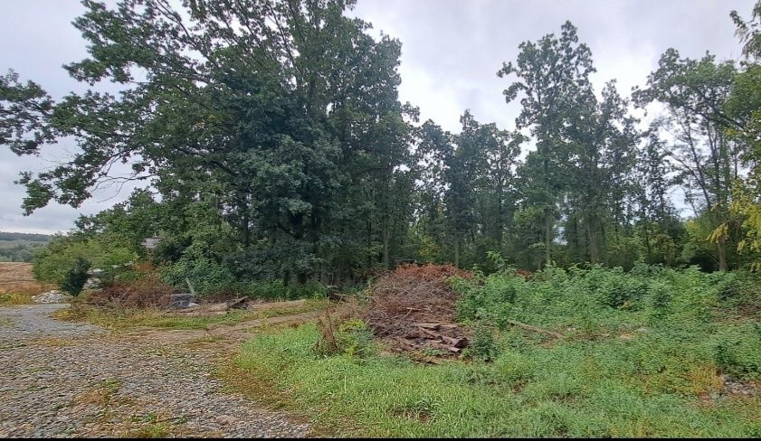 земельна ділянка 12 соток в с. Хотові