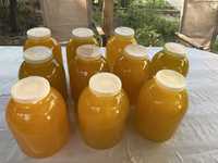 Продаю натуральный мед. Урожай 2023г