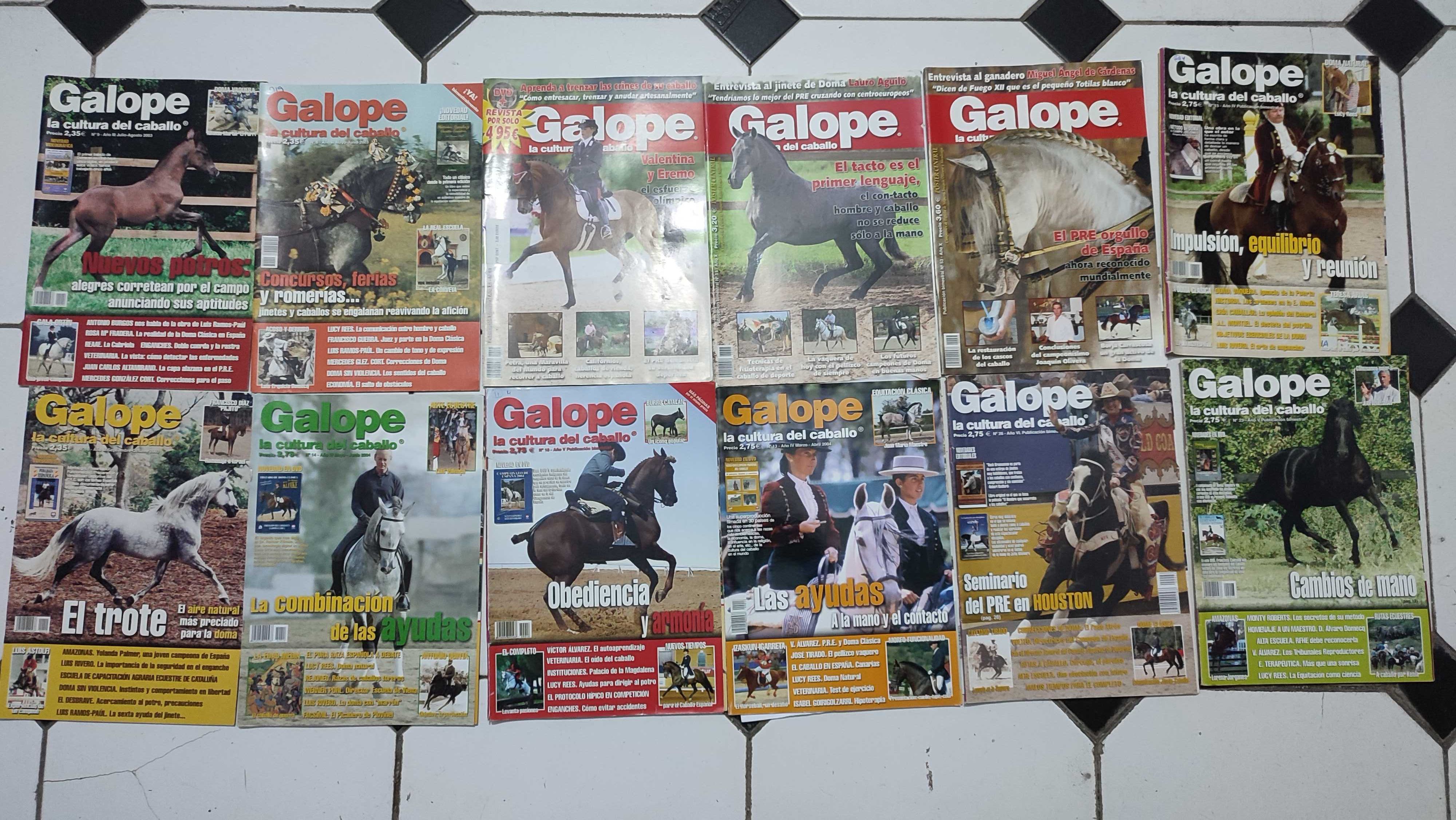 Lote 34 Revistas Galope