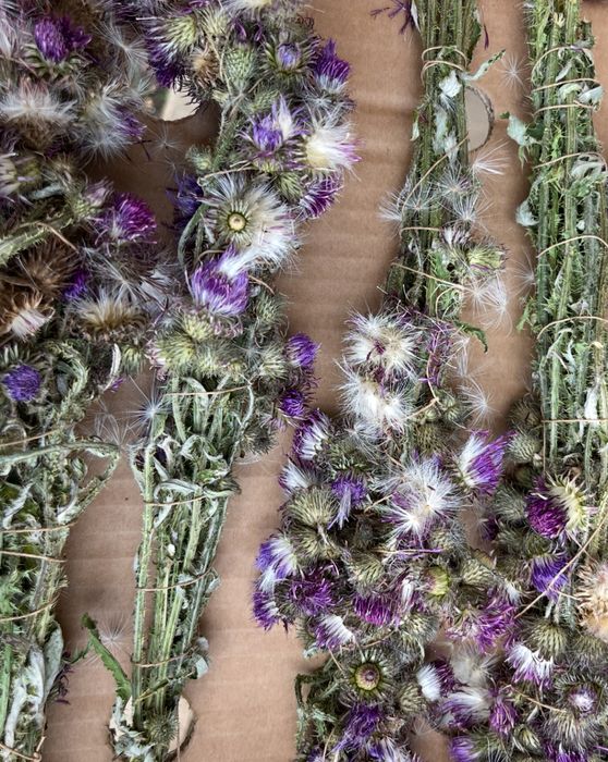 Скрутка Чортополох