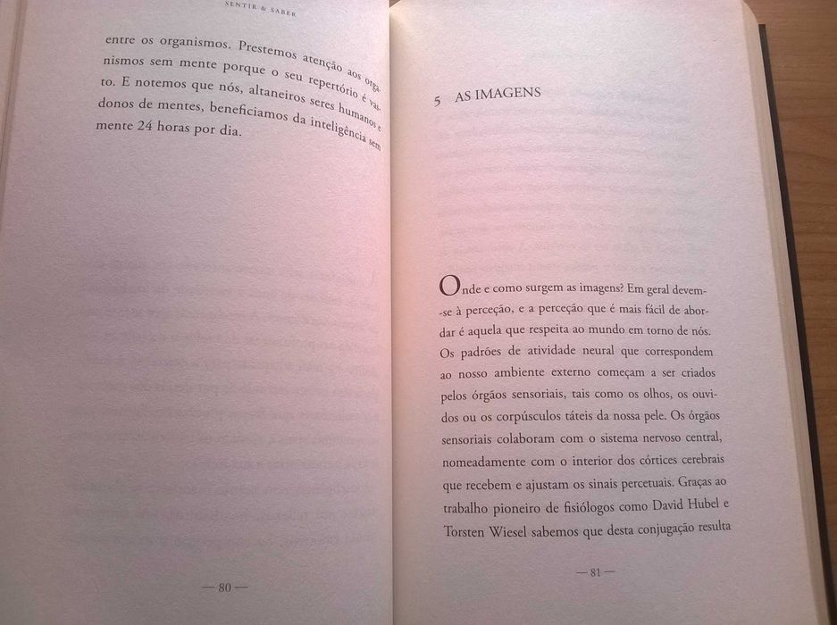 Sentir & Saber, A Caminho da Consciência - António Damásio