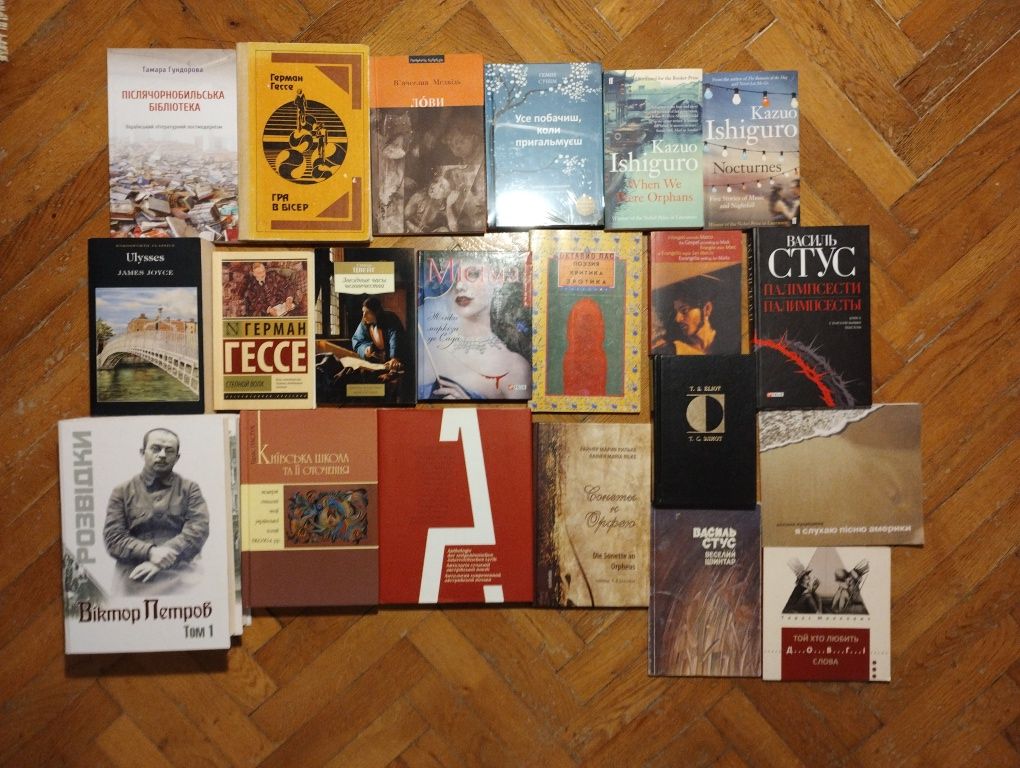 Філософія, історія, худліт, поезія, гуманітаристика, політологія