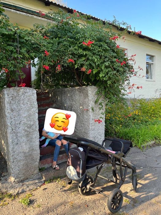 Коляска візочок люлька Anex M/Type PRO Tech grey