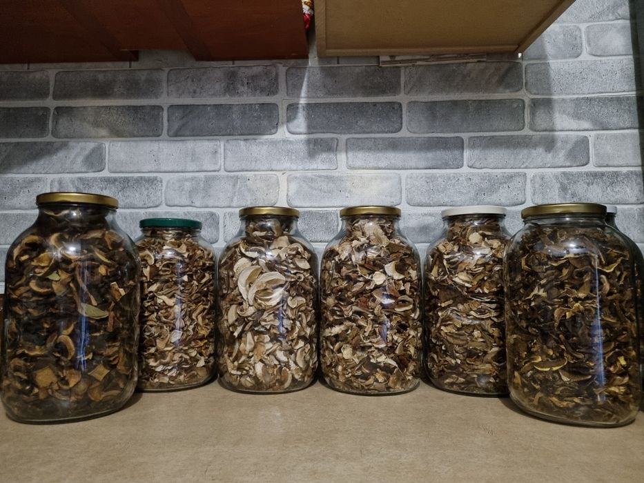 Grzyby marynowane oraz suszone Zapraszam