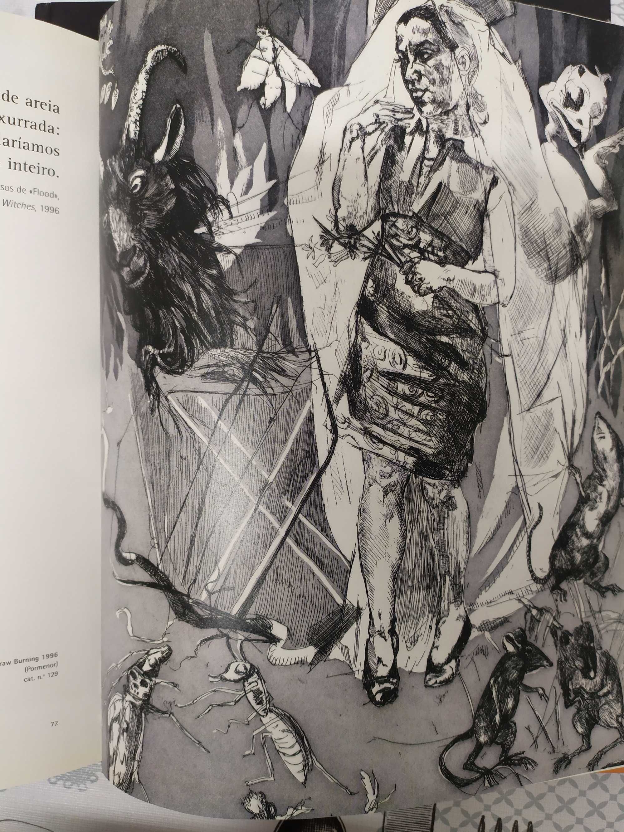 Livro Paula Rego, obra gráfica vol 1 e 3