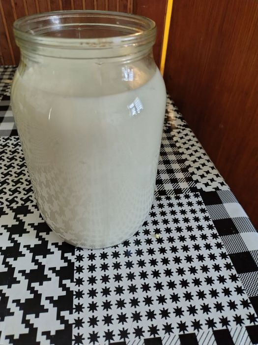 Молоко козине продам