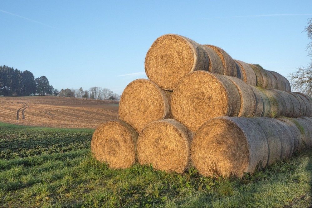 Słoma. Słoma w belach z transportem