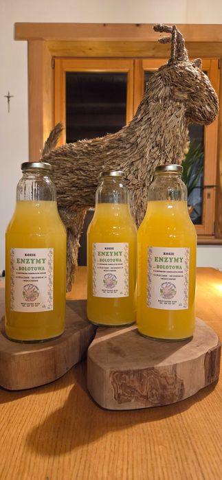 Enzymy Bołotowa Zakwas na koziej serwatce