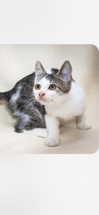 Czy ktoś nas zechce ?