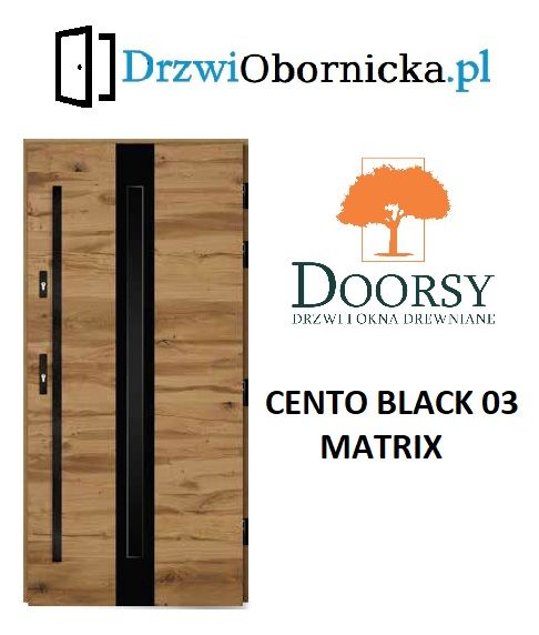 Drzwi DOORSY CENTO BLACK drewniane zewnętrzne wejściowe