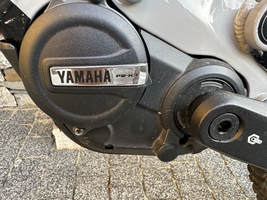 Raymon trailRay 10.0