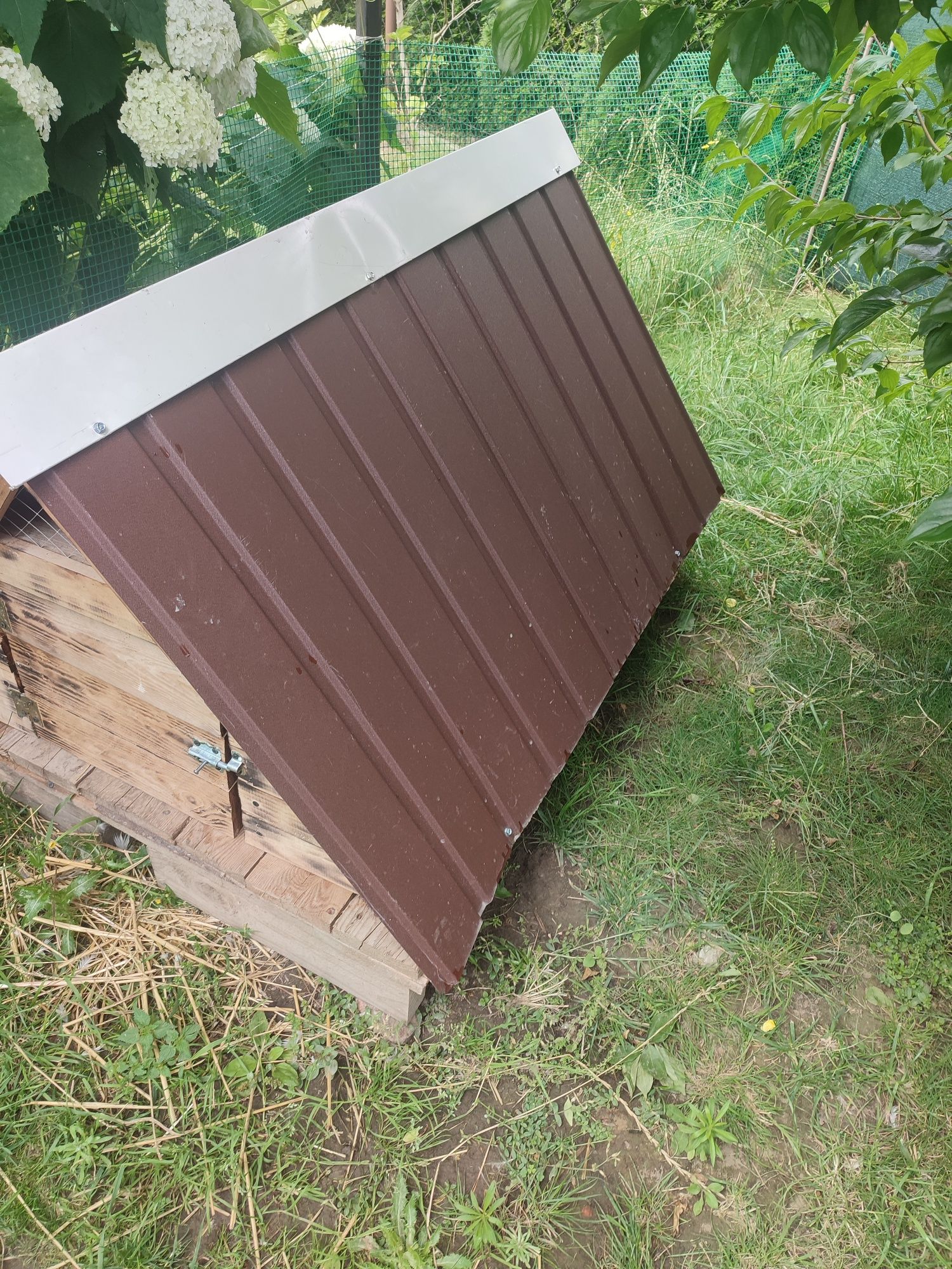 Sprzedam domek dla kaczek biegusów lub innego drobiu