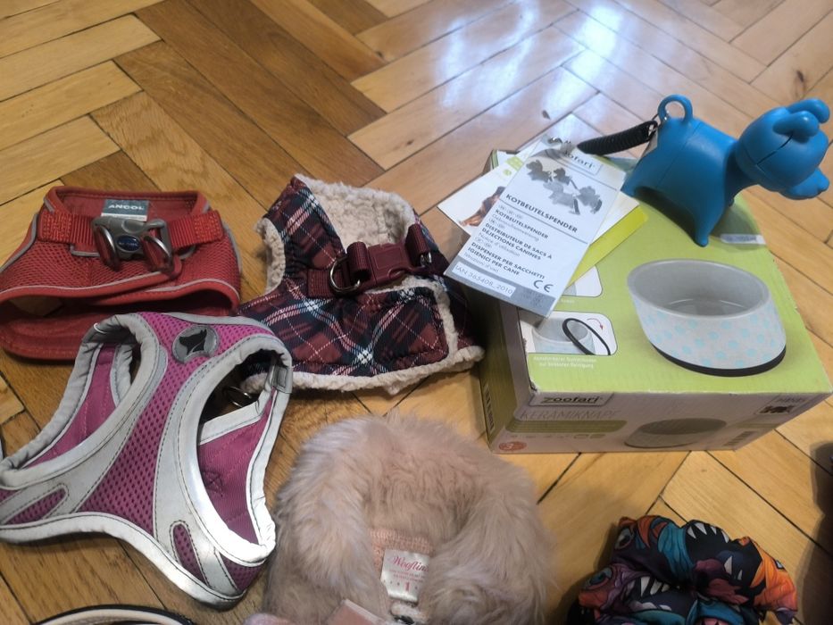 Одежда,переноска, аксессуары xs