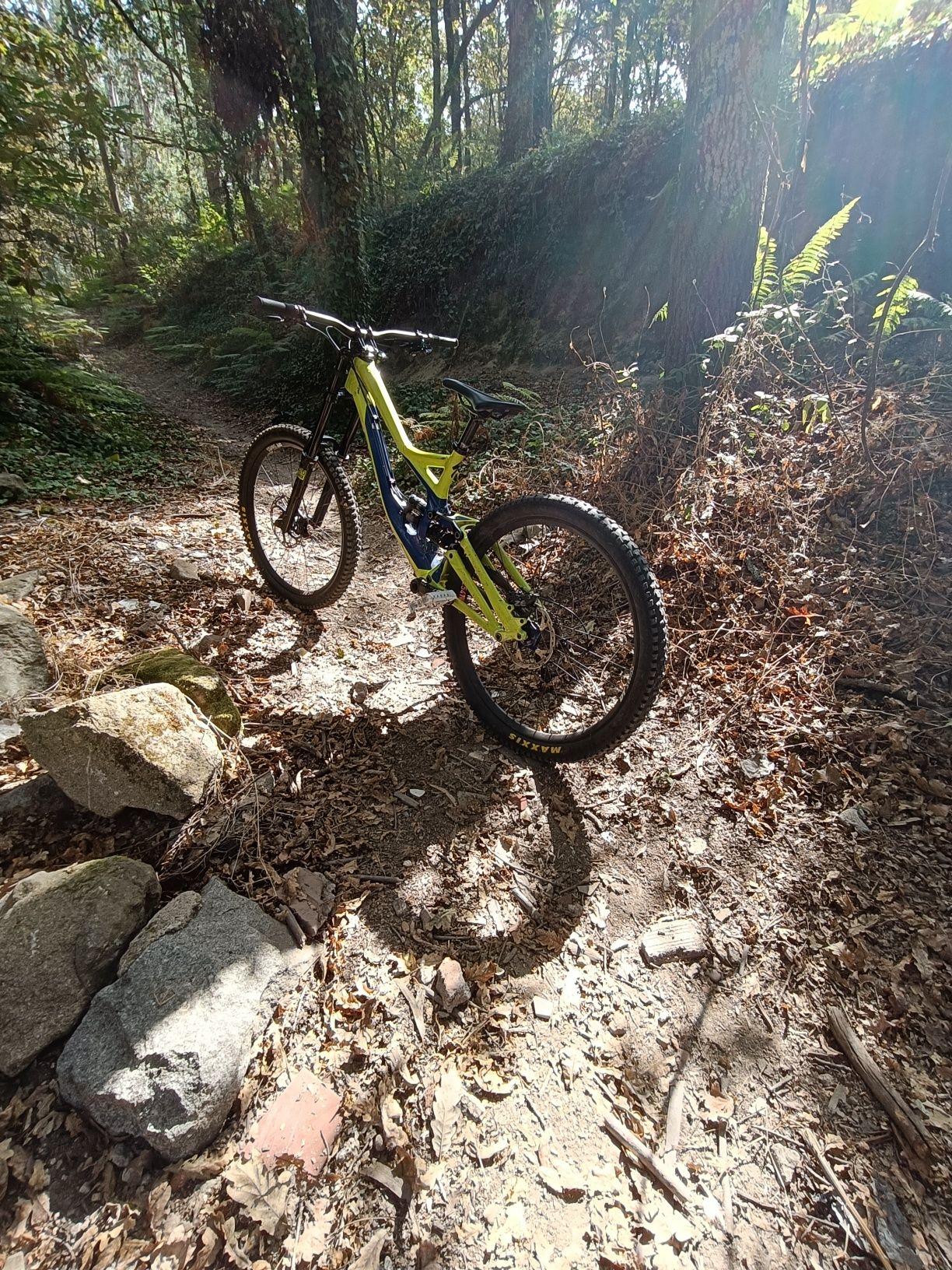 Specialized demo 8 2015