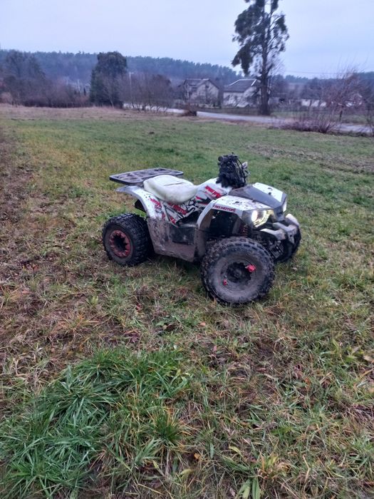 Квадрик форте 125