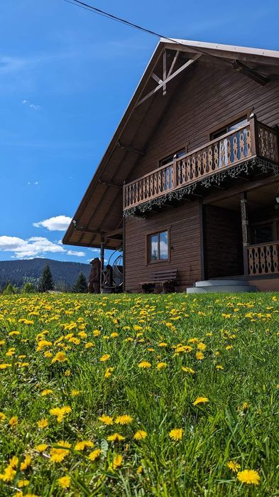 Здається котедж Карпатська модринка