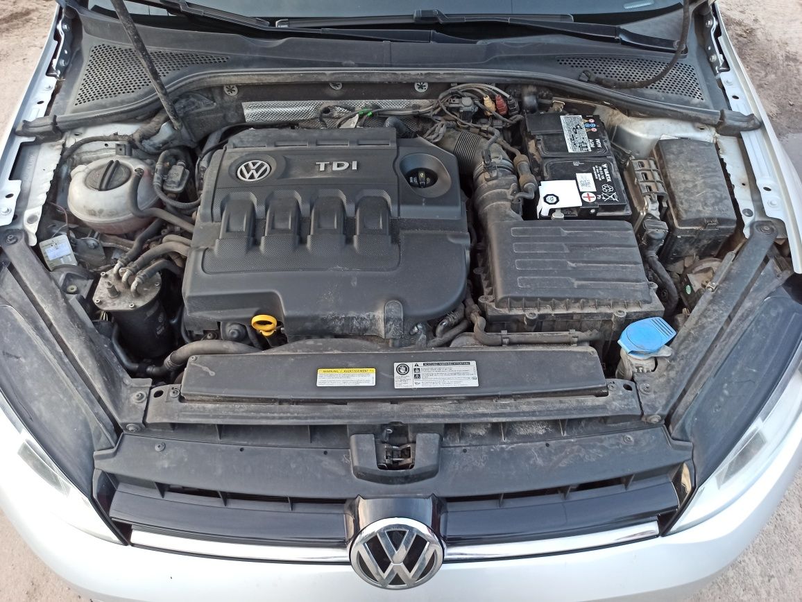 Volkswagen Golf (Vll)