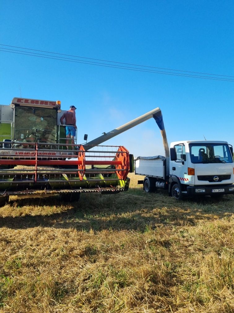 Usługi transportowe Wywrotka