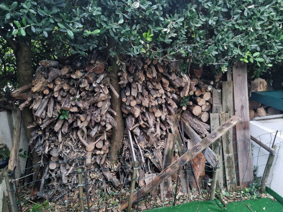 1 t. De lenha para recuperador de calor/lareira