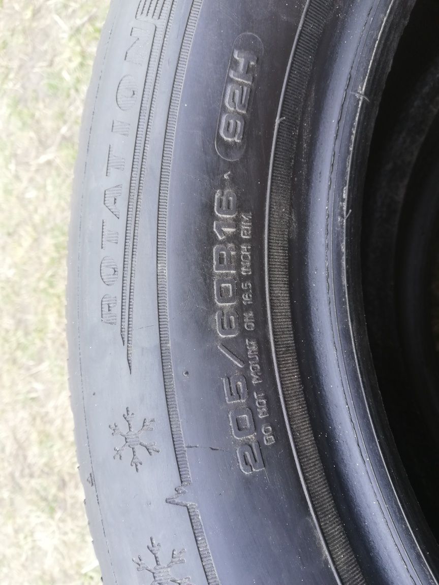 Шини зимні Dunlop 205/60/16 2шт