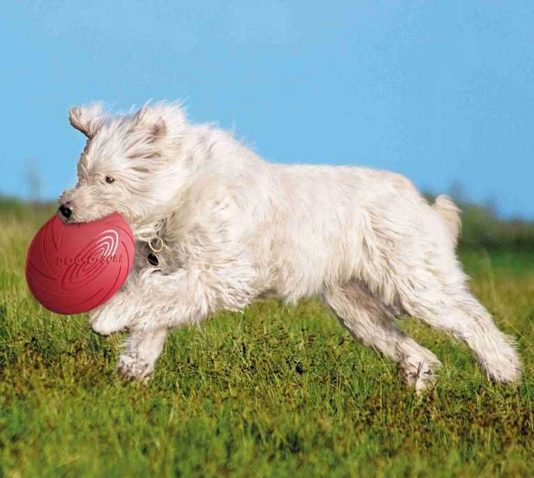 Trixie dysk dla psa z kauczuku frisbee 22 cm