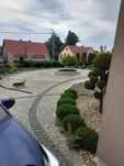 Brukarstwo  centrum bruku Dzierżoniów