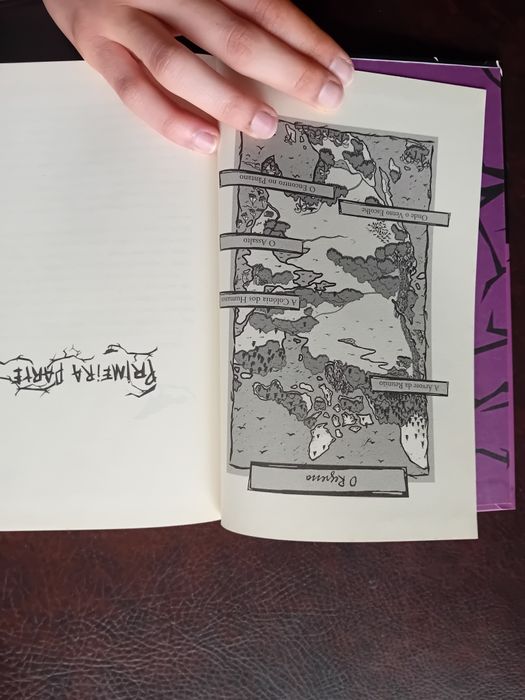 3 livros da saga "As crónicas do corvo"