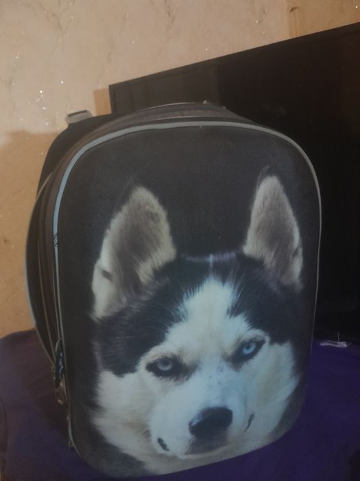 Школьный рюкзак.