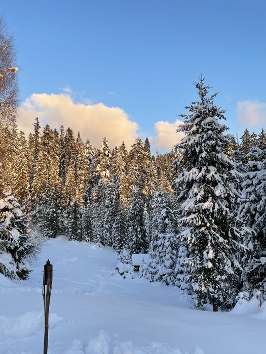 Domek na odludziu, cisza spokój balia widok Góry Patio Grill palenisko