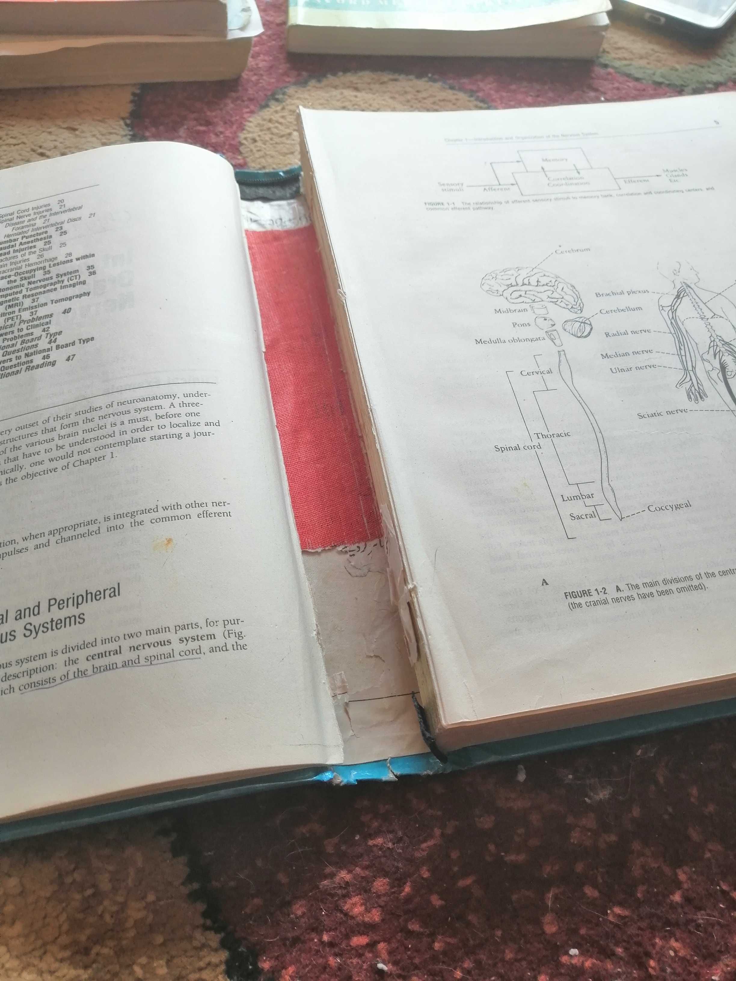 Clinical neuroanatomy for medical students snell neuroanatomia