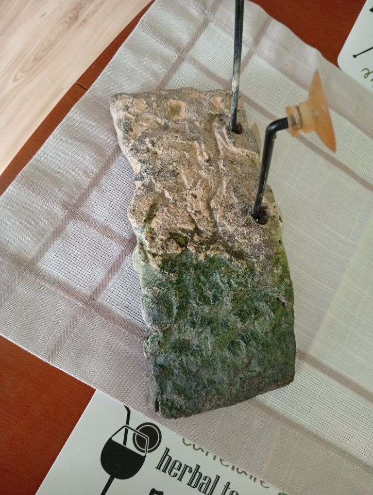 Wyspa dla żółwia