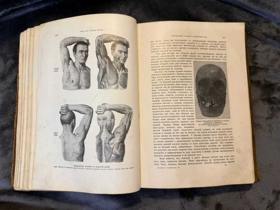 Вселенная и Человечество 1-2 том 1904р / Всесвіт і Людство Ганс Кремер
