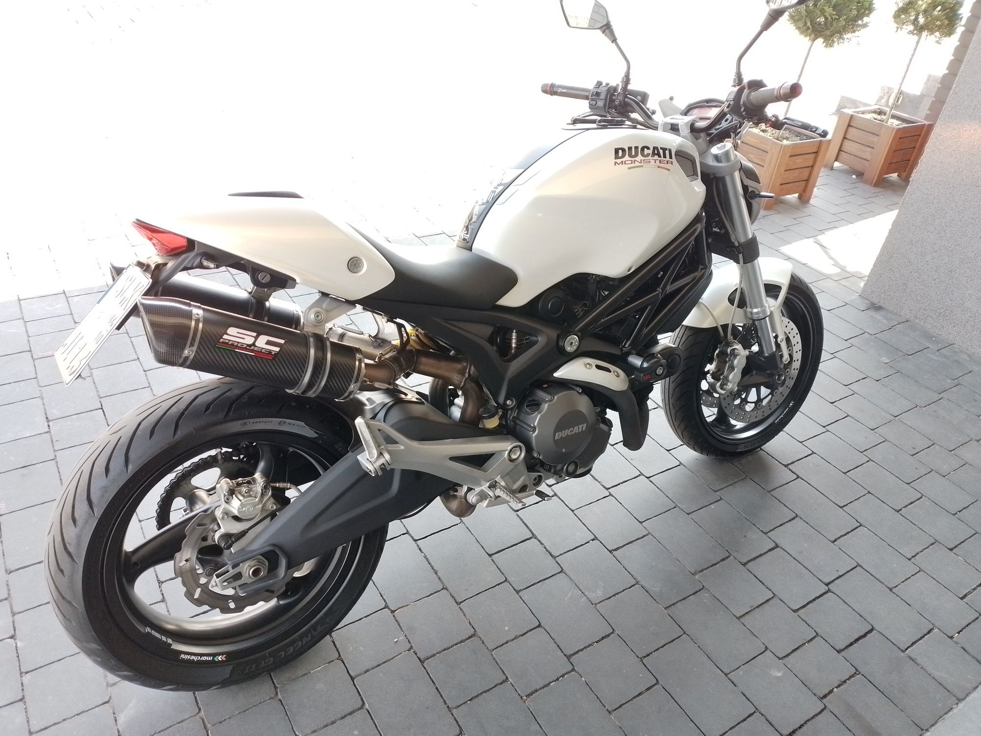 Ducati Monster 696 Sc-project idealny