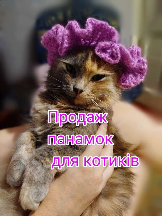 Панама для котика