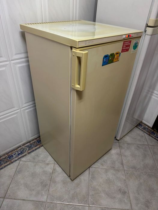 Arca frigorífica congeladora