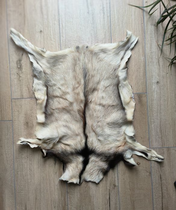 Piękna skóra kozia