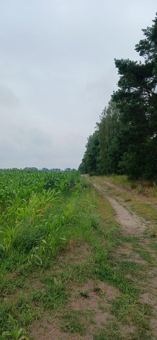 Продам земельну ділянку