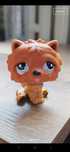 Figurka LPS chow chow