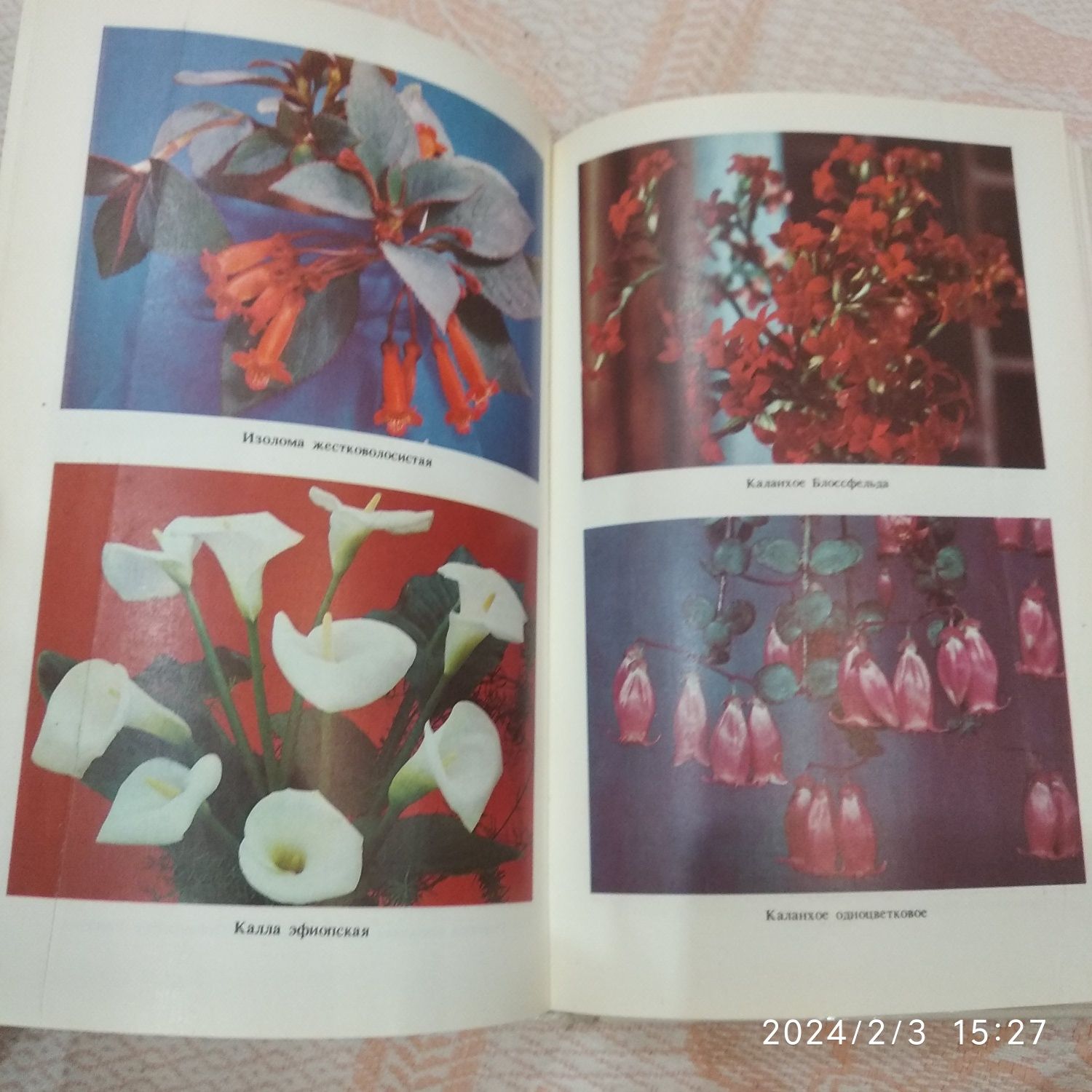 Книга " Цветы в квартире"