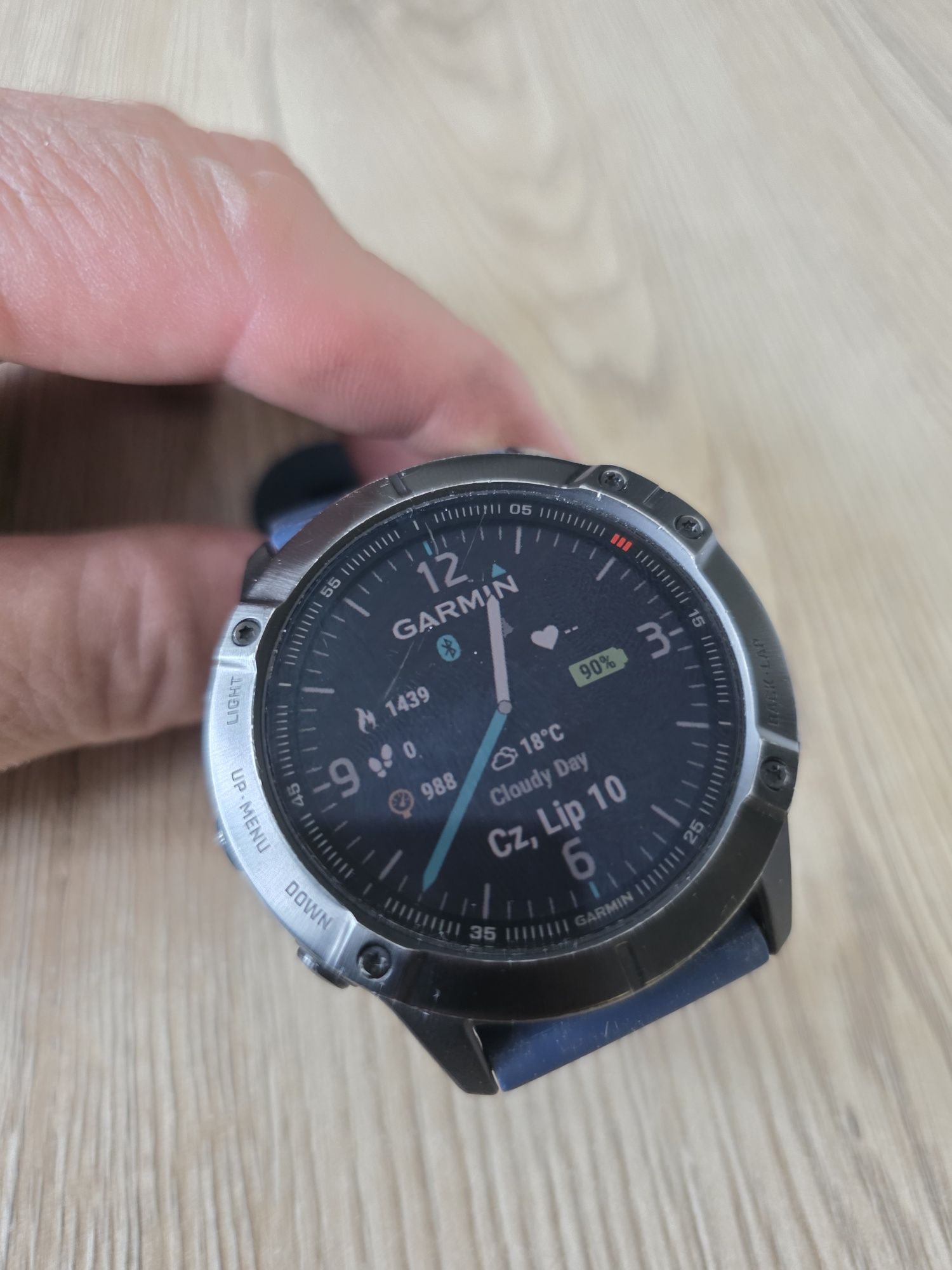 Garmin fenix 6x pro