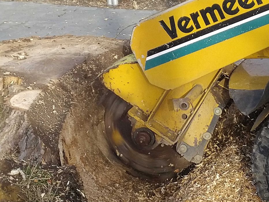 Usuwanie, Frezowanie Pni ,Karczowanie ,Frezarka Karp Korzeni Drzew