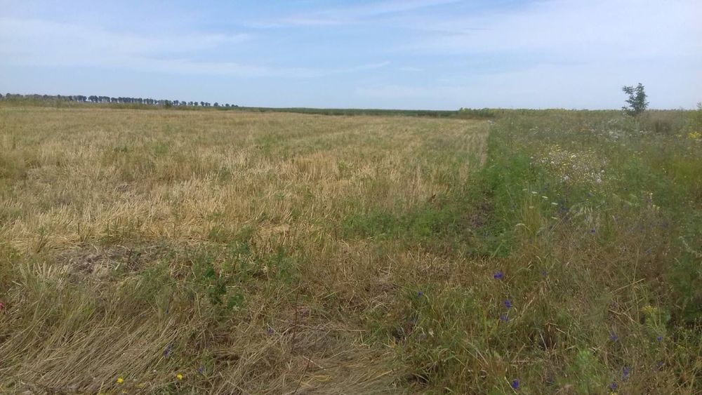 Продаж ділянки  20соток землі під забудову