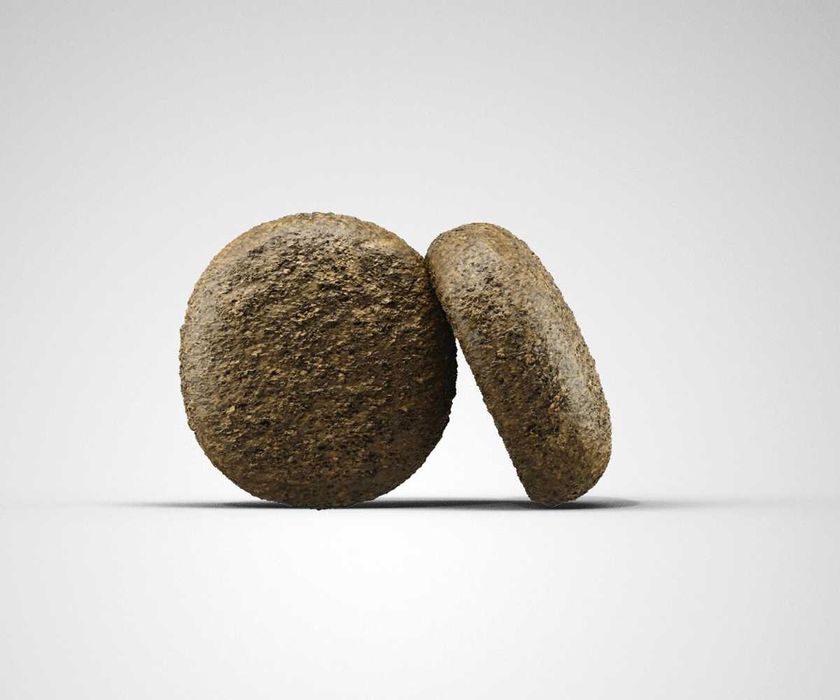 JOSERA Lachs & Kartoffel 12,5кг Корм з лососем для собак