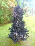 Árvore Natal Preta 170cm