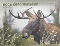 Чорнобиль. Відродження. Лось європейський
