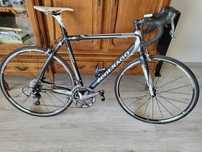 Colnago Arte Ultegra