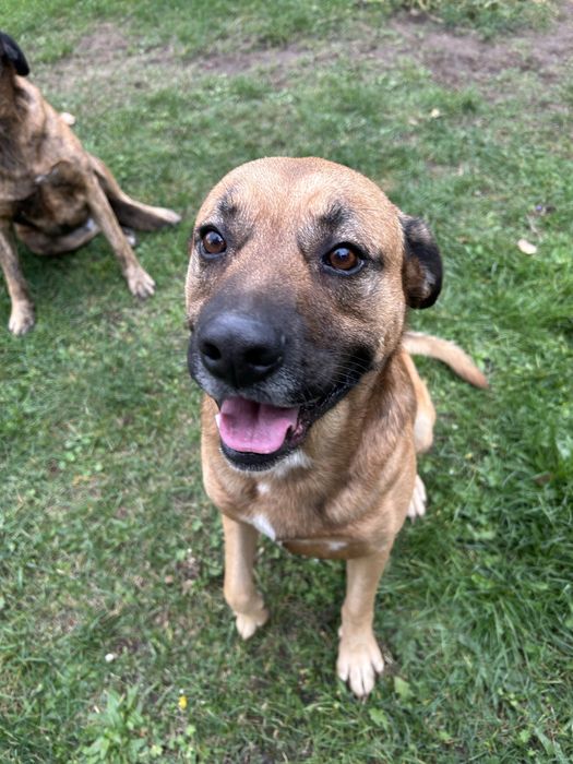 Szukamy domu razem lub oddzielnie