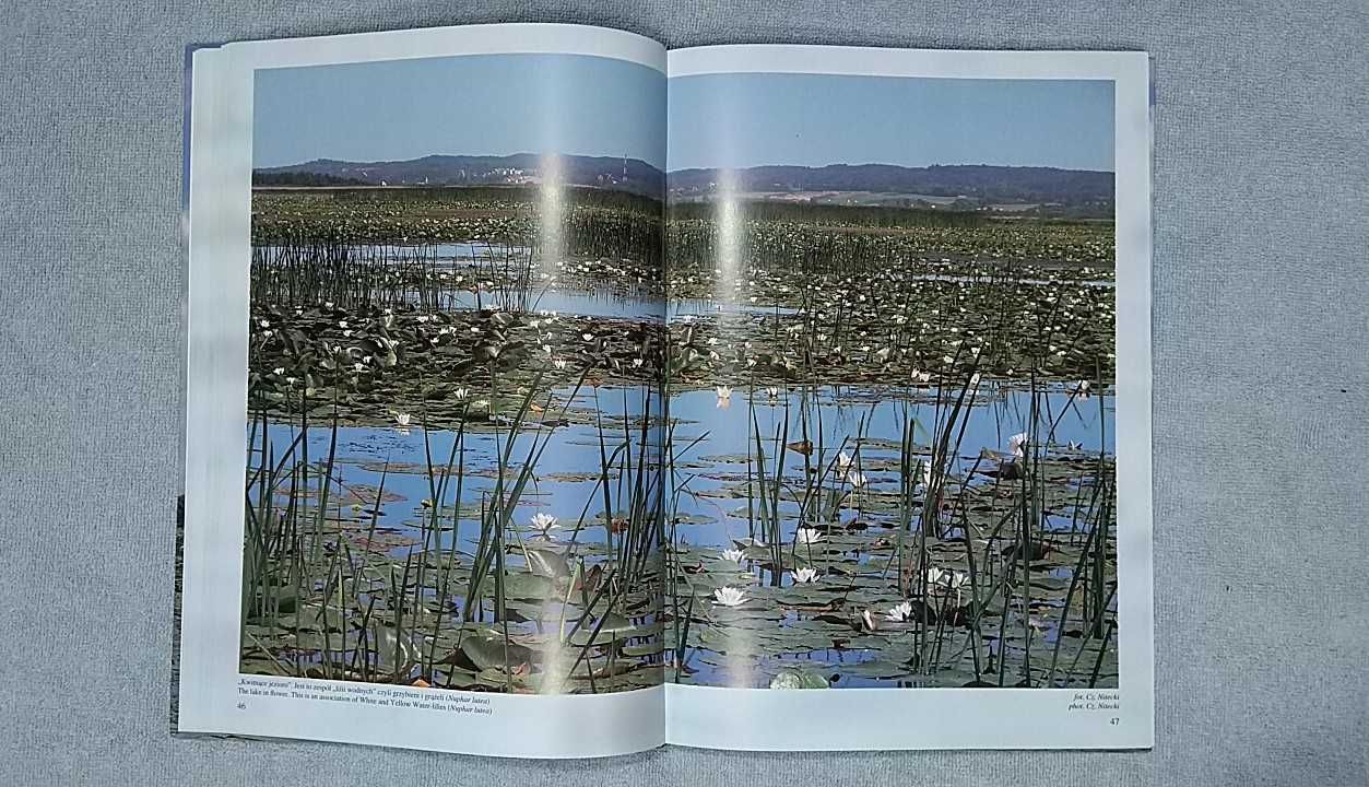 Rezerwat przyrody "Jezioro Drużno" w obiektywie