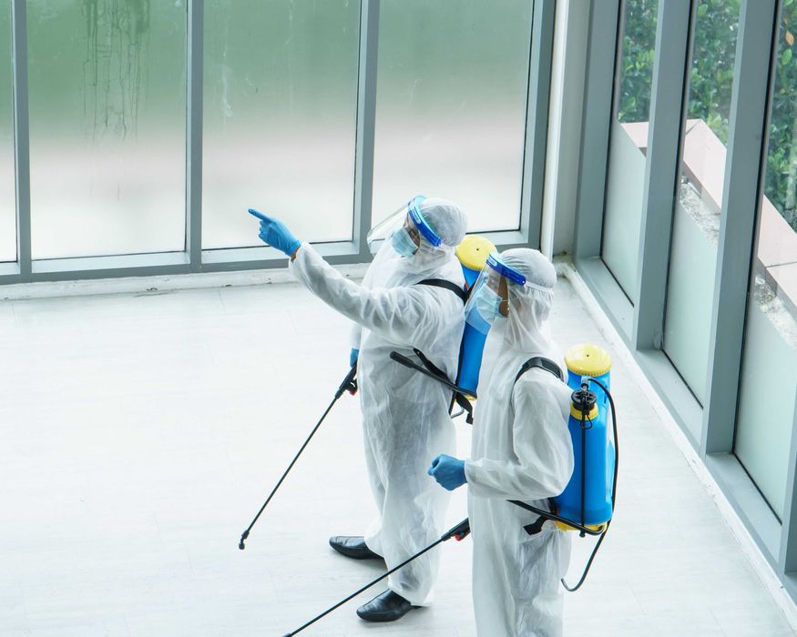 Dezynfekcja, dezynsekcja, deratyzacja, ozonowanie, pranie - Warszawa i