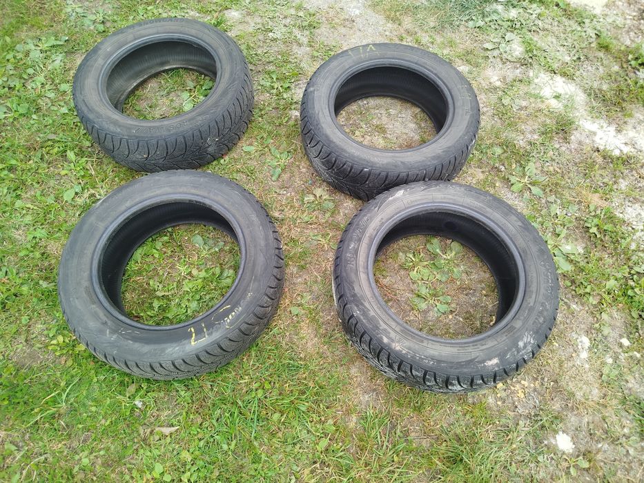 Шини зимові R16, Росава.